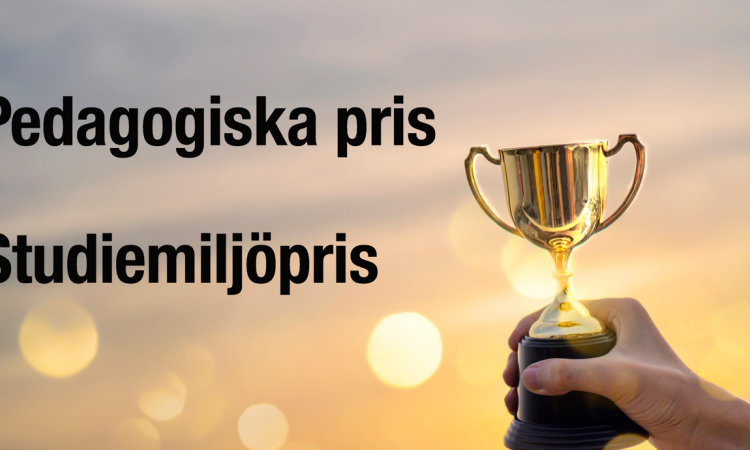 pedagogpris