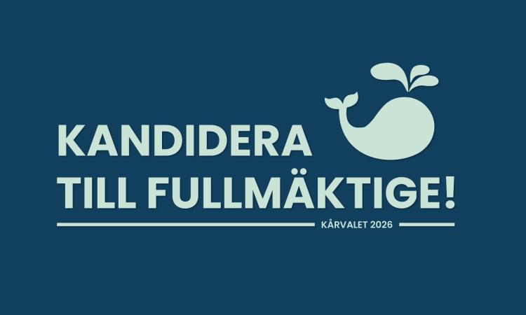 Kandidera till fullmäktige