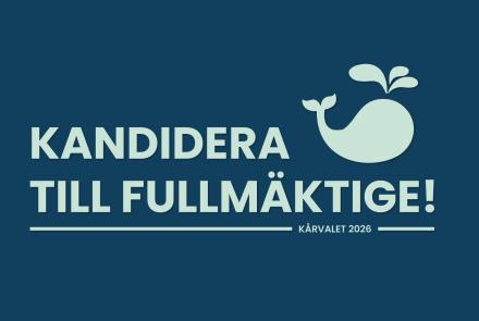 Kandidera till fullmäktige