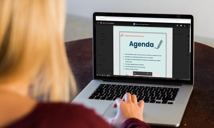 Person sitter vid datorn och läser nätverksträffens agenda