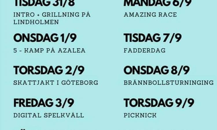 schema_kognitionsvetenskap