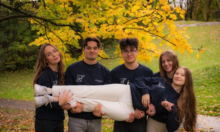 Sektionsstyrelse mermaid